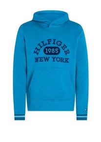 plussize: Nadměrn&aacute; velikost: Tommy Hilfiger, Bluza z kapturem z haftem marki i guzikiem przy kołnierzu Turkusowy