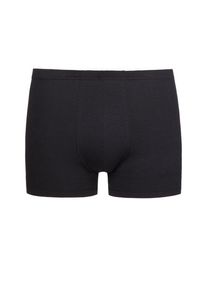 Nadměrn&aacute; velikost: Novila, Sportovn&iacute; tren&yacute;rky s pod&iacute;lem strečov&yacute;ch vl&aacute;ken Čern&aacute;