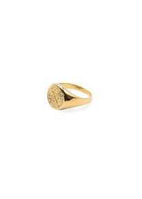 Kapten & Son Kapten & Son Ring Charming Marrakech Gold Gioielli