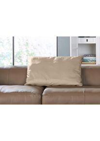 Hülsta Sofa hülsta sofa Rückenkissen »hs.432«, mit Rolle wahlweise in Stoff oder Leder