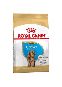 3kg Cocker Puppy / Chiot Royal Canin - Croquettes pour Chiot