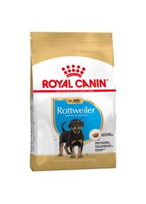 12kg Rottweiler Puppy/Chiot Royal Canin - Croquettes pour chiot