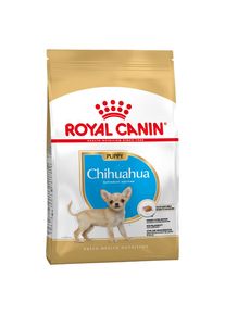 1,5kg Chihuahua Puppy/Chiot Royal Canin - Croquettes pour Chiot