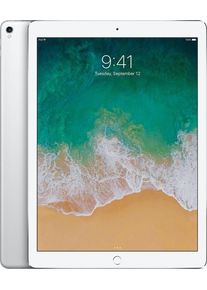 Apple Exzellent: iPad Pro 2 (2017) | 12.9" | 64 GB | 4G | silber