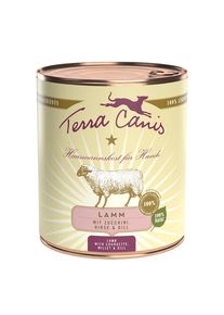 Sparpack: Terra Canis 12 x 800 g.- Lamm med zucchini, hirs & dill