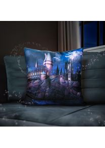 Harry Potter - Cuscino Hogwarts