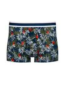 Plus size : Mey, Boxer trunks with all-over print in a Olive