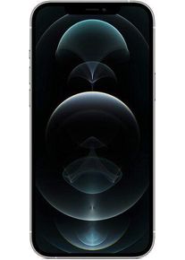 Apple iPhone 12 Pro Max | 256 GB | zilver