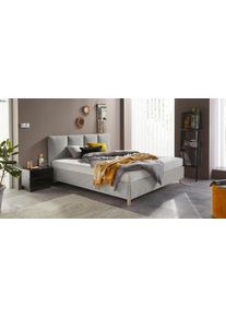 Westfalia Schlafkomfort Polsterbett in grau, Größe Liegefläche B/L: 100 cm x 200 cm