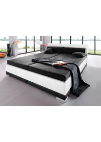 Maintal Polsterbett Kunstleder in schwarz-weiß, Größe B/L/H: 167 cm x 211 cm x 27 cm