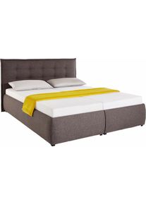 Maintal Polsterbett in grün, Größe Liegefläche B/L: 180 cm x 200 cm