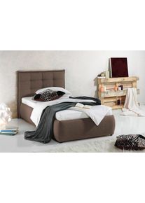 Maintal Polsterbett in grün, Größe Liegefläche B/L: 100 cm x 200 cm