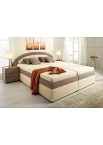 Maintal Polsterbett in braun, Größe Liegefläche B/L: 120 cm x 200 cm