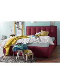 Maintal Polsterbett in rot, Größe Liegefläche B/L: 160 cm x 200 cm