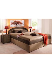 Maintal Polsterbett in braun, Größe Liegefläche B/L: 140 cm x 200 cm