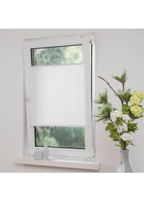 Liedeco Plissee »Klemmfix-Plissee verspannt« Lichtschutz ohne Bohren verspannt in weiß