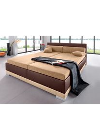 Maintal Polsterbett Kunstleder in braun, Größe B/L/H: 187 cm x 211 cm x 40 cm