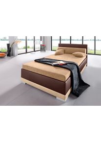 Maintal Polsterbett Kunstleder in braun, Größe B/L/H: 97 cm x 211 cm x 27 cm