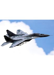 Freewing MiG-29 Fulcrum EPO 1257mm Tiger meet KIT+