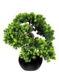 Bonsai lariks, met grind, in een keramieken pot, zwart, hoogte 370 mm, pot 150 x 90 mm