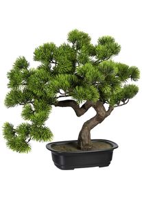 Bonsai den, in een kunststof schaal, hoogte 400 mm, schaal 220 x 150 x 60 mm