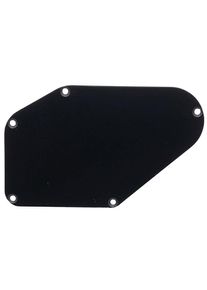 Music Man Control Plate Luke Cache dos