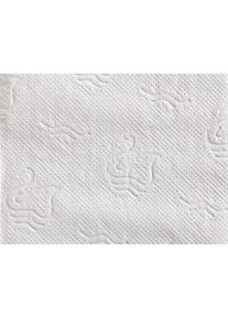 Carta igienica - kaiserkraft