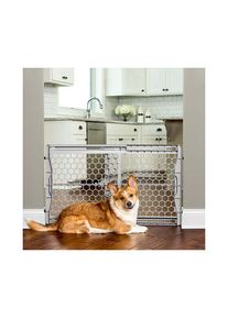 CARLSON - Gate Plastic Expandable Gate 58x71-107CM - (704.2000)