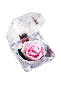 Bien conservé vraie rose boîte transparente parfumée rose éternelle cadeau fête des mères Saint Valentin mariage romantique réunion de famille