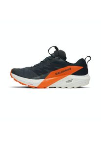 Salomon Sense Ride 5 GTX Men
