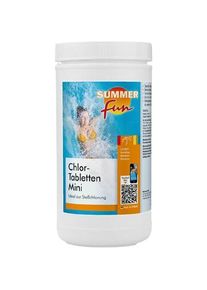 summer fun 5504001SF01 Besoins-de-piscine