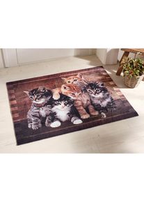 bonprix Lábtörlő cica motívummal barna 40/60 cm