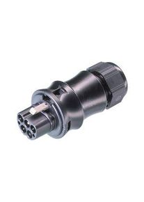 WIELAND Steckverbinder, Steckerteil Stecker, 5 Pole, 20A, 400V - RST20I5S S1 ZR1 V SW