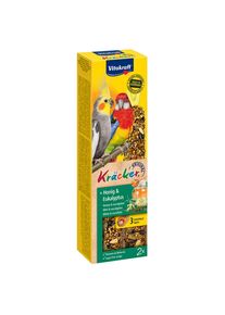 2 bastoncini di cracker Vitakraft grande parrocchetto miele ed eucalipto snack per uccelli