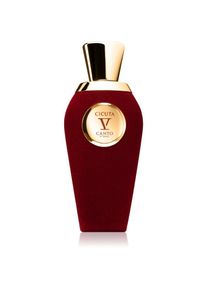 V CANTO Cicuta perfume extract unisex 100 ml