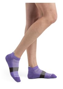 Icebreaker Micro-socquettes à languette mérinos grammage léger Multisport - Femme - Magic/glazen - Taille S