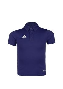 adidas Performance Funkcion&aacute;lis felső 'Entrada 22' Fi&uacute;k k&eacute;k , M&eacute;ret 152