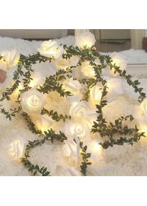 Rose guirlande lumineuse aux feuilles vertes,9,8ft 20LED blanc chaud fleurs de rotin lumières féériques,alimenté par pile lumières décoratives pour