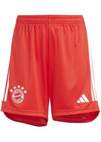 Adidas FC Bayern 23/24 Home Y - Fußballhose - Kinder