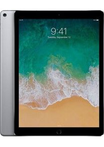 Apple iPad Pro 2 (2017) | 12.9" | 256 GB | spacegrau