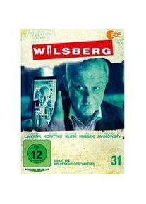 Wilsberg 31 - Minus 196° / Ins Gesicht Geschrieben (DVD)
