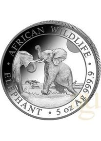 Mendler 5 Unzen Silbermünze Somalia Elefant 2024
