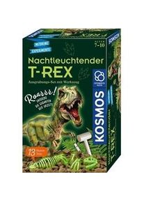 Kosmos Mitbring-Experimente Nachtleuchtender T-Rex