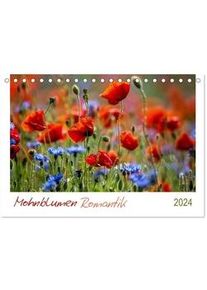 Mohnblumen Romantik (Tischkalender 2024 Din A5 Quer) Calvendo Monatskalender