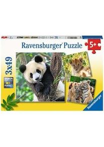 Ravensburger Puzzle Panda Tiger & Löwe 3X49-Teilig