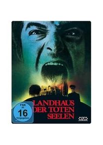 Landhaus Der Toten Seelen - Burnt Offerings (Blu-ray)