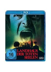 Landhaus Der Toten Seelen - Burnt Offerings (Blu-ray)