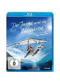 Capelight Pictures Der Junge Und Die Wildgänse (Blu-ray)