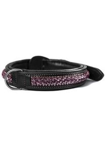 Equestrian Stockholm Hundehalsband Orchid Bloom HW 2021 Kristallhalsband Orchid Bloom 21,5-26 cm