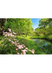 Bricoflor - Papier peint panoramique paysage lac & forêt | Tapisserie panoramique nature romantique pour salon | Papier peint panoramique chambre